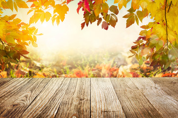 Naklejka na ściany i meble Wooden table with autumn leaves background 