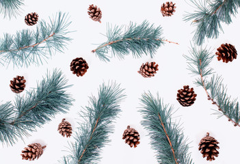 Natural flat lay background with larch branches and pine cones.