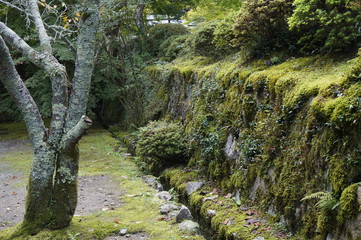 苔むした石垣