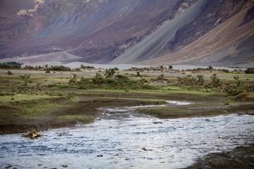 Nubra valley, Ladakh, India