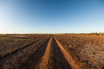 outback track, Cadelga Creek - obrazy, fototapety, plakaty