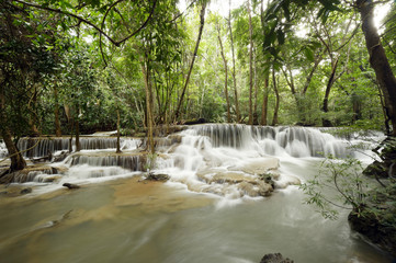 Beautiful waterfall in green forest in nature