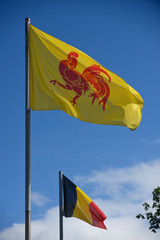 wallonie region regional coq drapeau belge Belgique