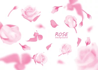 Muurstickers Rozen Roze rozen bloemen en knop vallen op de grond. Geïsoleerde vector studio achtergrond
