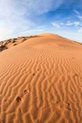 Fototapeta na wymiar Sturts Stony Desert