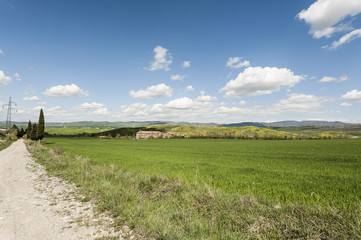 Fototapeta na wymiar Dirt road between meadows in Italy