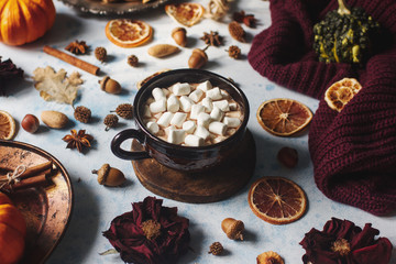 homemade cocoa with marshmallows, spices and pumpkin