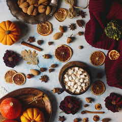Flat lay of homemade cocoa with marshmallows, spices and pumpkin