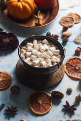 homemade cocoa with marshmallows, spices and pumpkin