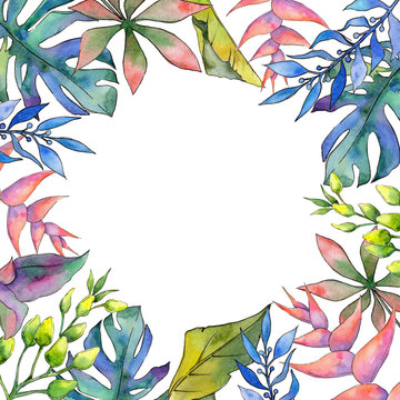 Tropical Hawaii leaves frame in a watercolor style. Aquarelle wild flower for background, texture, wrapper pattern, frame or border.