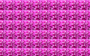 collage, background with a texture of flowers in a repeating square