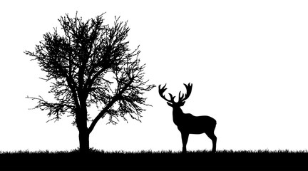 Vector silhouette of deer in forest on white background.