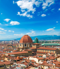 Fototapeta premium View of the Cathedral Santa Maria del Fiore in Florence, Italy