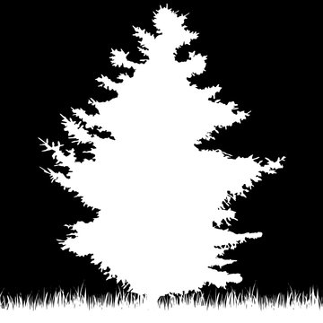 Vector silhouette of forest on black background.