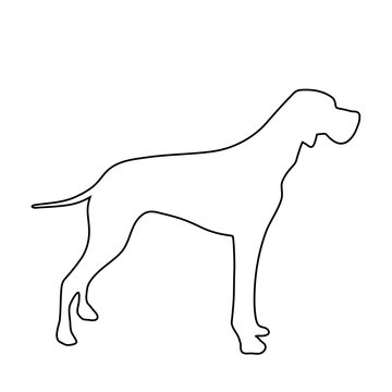 Vector silhouette of dog logo on white background.