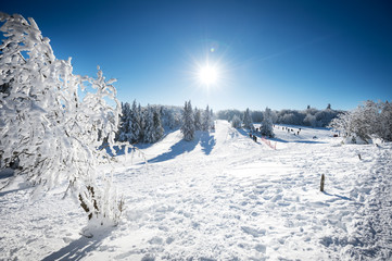 Paysage d'hiver