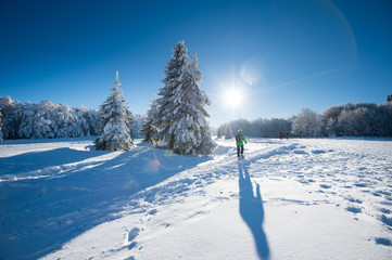 Paysage d'hiver avec randonneur