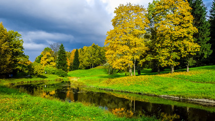 Autumn landscape. Pavlovsk, Russia
