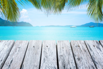 Coconut leaf and beautiful sea background in summer.