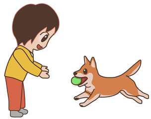 ボールを持って来る犬　柴犬