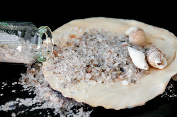 Sea salt and shallow seashells on a black background