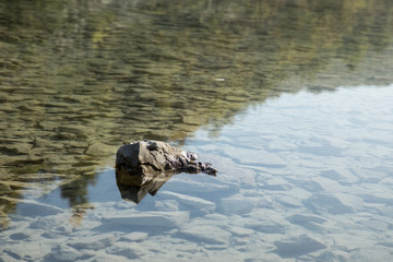 stones in water