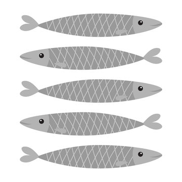 Sardine gray fish icon set. Iwashi. Sardina pilchardus. Cute cartoon character. Anchovy pilchard. Water animal. Marine life. Flat design. White background. Isolated.