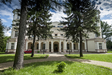 Fototapeta na wymiar Przemyśl,Pałac Lubomirskich.