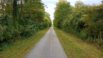 Idyllischer Weg durch die Au