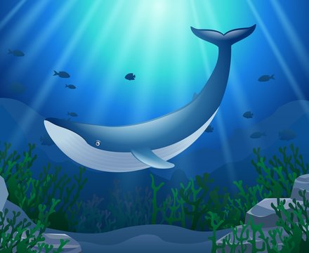 Cartoon whale with Coral Reef Underwater in Ocean. Vector illustration