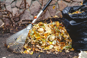 rolling rakes collect fallen leaves in big pile