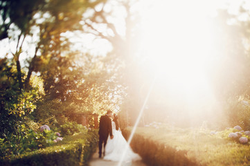 Sun shines bright over kissing wedding couple in the garden