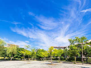 Naklejka premium 住宅街の広場