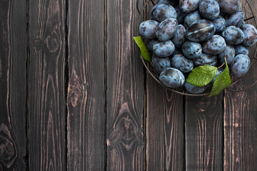 Garden blue plums in a bowl on a dark rustic wooden background with copy space top view.