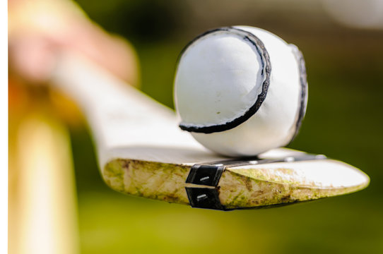 Sloitar (ball) On A Hurl, Used In The Irish Game Of Hurling, The Fastest Ball Game In The World.