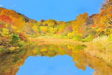 青空と水辺の紅葉 