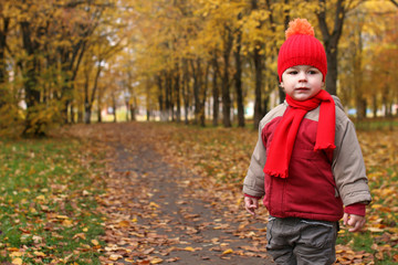 kids in autumn park with pumpkin