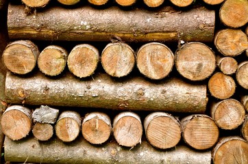 Abstract photo of a mixture of symmetric pile of natural wooden logs background, top view.