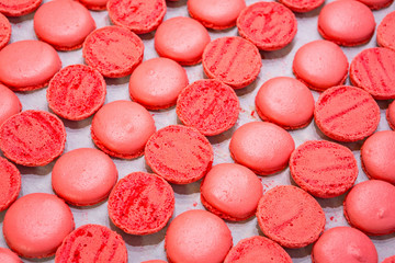 Freshly oven-baked Pink Macarons cooling down in rows on a tray at a French bakery - Patissairie.