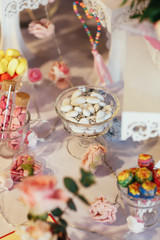 Fototapeta na wymiar Glass bowls with colorful chocolate pills stand on wedding candy bar