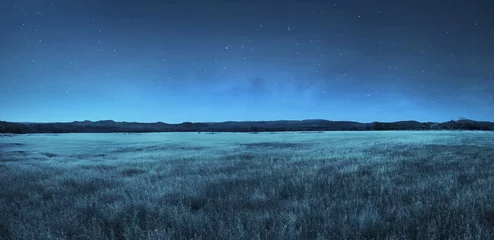 Fototapeten Wiesenlandschaft bei Nacht © Leo Lintang
