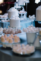 White chocolate cupcakes and cookies served on wide plates