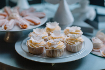 White chocolate cupcakes and cookies served on wide plates