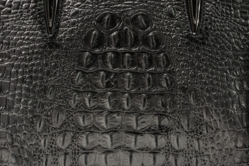 the texture of the skin is gray