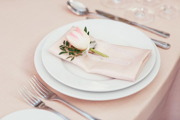 Pink tulip lies on serviette on a dinner plate