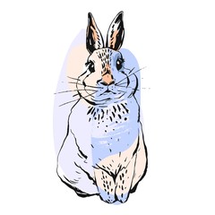 Hand drawn vector abstract realistic drawing bunny illustration in pastel colors isolated on white background.Easter design element for greetings,cards,signs,logo,decorations.Easter rabbit concept.