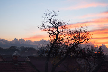 house roofs at sunset after storm