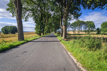 Narrow asphalt road among fields in West Poerania region of Poland