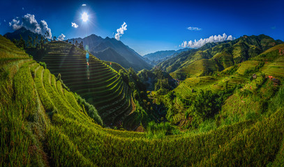 Rice fields on terraced with wooden pavilion on blue sky background in Mu Cang Chai, YenBai,...