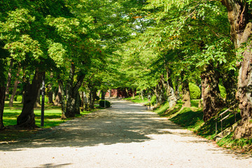 千秋公園　遊歩道